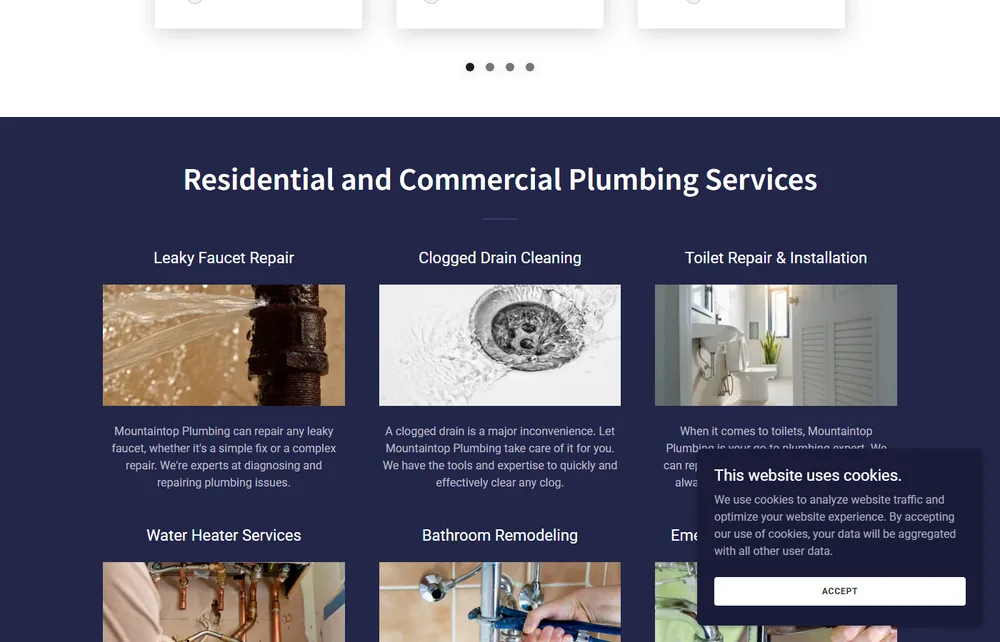Mountaintop Plumbing old two-page GoDaddy website with no lead forms